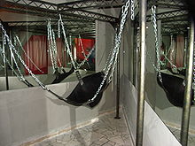 Hammock-style sling for sexual activity Sling.jpg