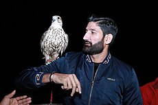 Sohail Tanvir with a native eagle in the UAE.jpg