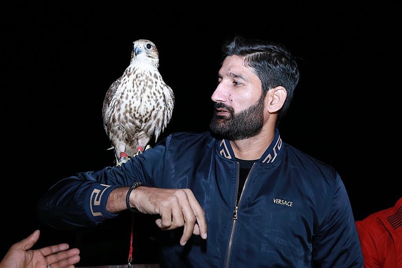 File:Sohail Tanvir with a native eagle in the UAE.jpg