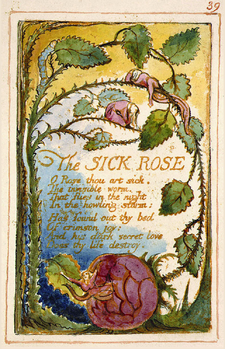 Songs of innocence and of experience, page 39, The Sick Rose (Fitzwilliam copy).png