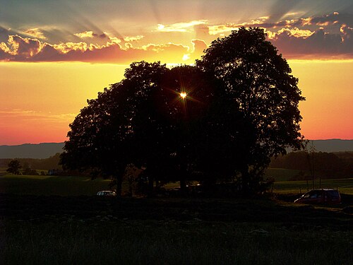 Sonnenstrahlen bilden ein Sonnenherz im Baum