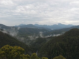 Scotts Peak Dam Road road in Tasmania