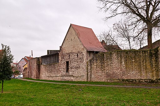 Stadtmauer, Neue Anlage NO Ladenburg 20211210 0005