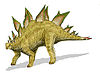 Artist's restoration of Stegosaurus stenops.