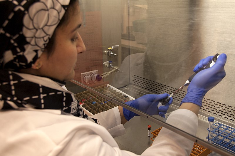 File:Stem Cell Research (0456) (13978787731).jpg