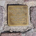 Stumbling block for Frida Blumenthal, August-Bebel-Strasse 51, Meerane.JPG