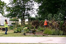 A stand under construction in 2008 Stumpery.jpg