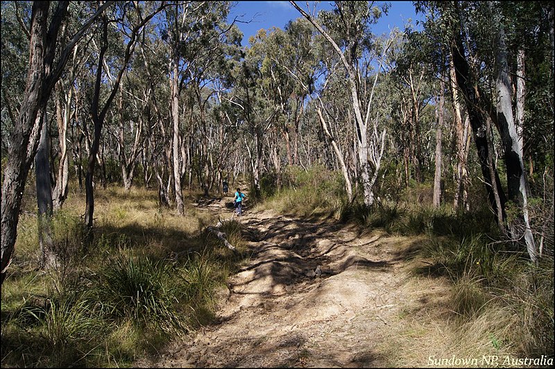 File:Sundown National Park 3.jpg