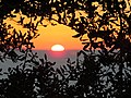 * Nomination Sunset over the sea through olives. --Prosthetic Head 13:49, 19 February 2016 (UTC) * Promotion Good quality. --A.Savin 12:58, 20 February 2016 (UTC)