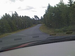 Swedish Road 125 DSC 0008.jpg