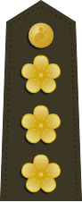 ไฟล์:Taiwan-Marine-OF-5.svg