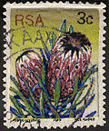 Thumbnail for Postage stamps and postal history of South Africa