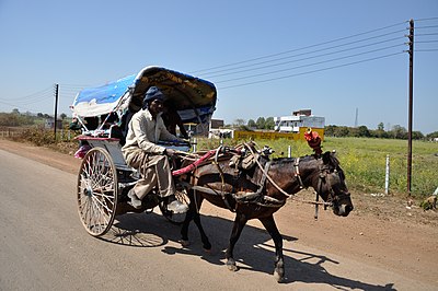 Tanga on the Indian National Highway 86 in India.