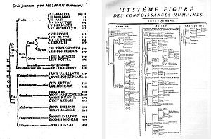 Ciencia: Historia, Ramas, Investigación científica