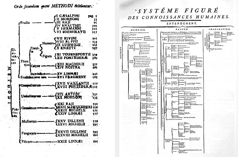 File:Taxonomy Linné & Diderot.jpg