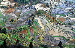 Modello astratto dei campi di riso terrazzati nella contea di Yuanyang