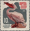 The Soviet Union 1964 CPA 3052 stamp (Centenary of Moscow Zoo. Eastern white pelican or rosy pelican (Pelecanus onocrotalus)).jpg