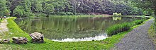 Waldsee im Naturschutzgebiet Theißtal von Niedernhausen