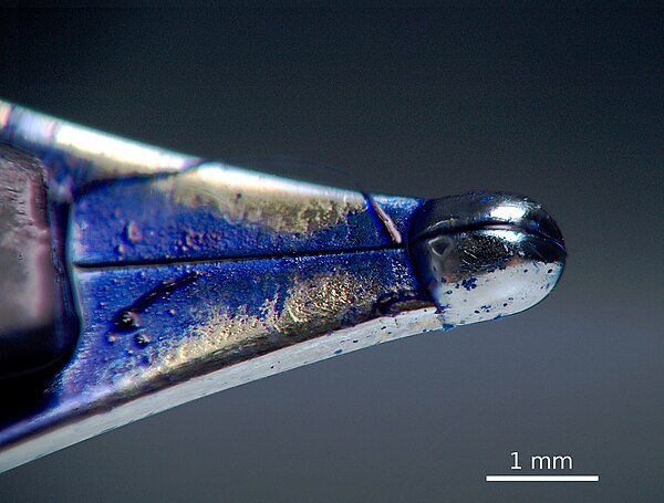 Tip of a fountain pen nib