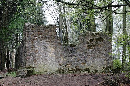 Toenskapelle