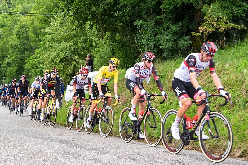 File:Tour de France (51311760092).jpg