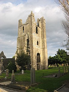 Tower of St. Mary's Church, Duleek - geograph.org.uk - 757989.jpg