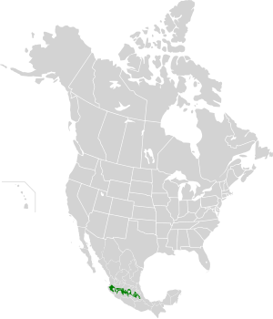 Trans-mexický Vocanic Belt Pine-Oak Forests mapa.svg