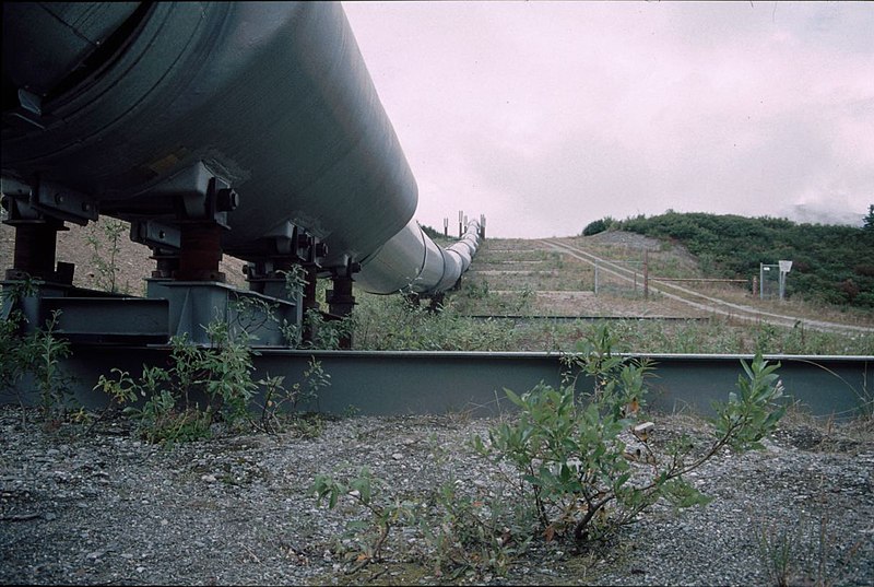 File:Trans Alaska Pipeline1.jpg