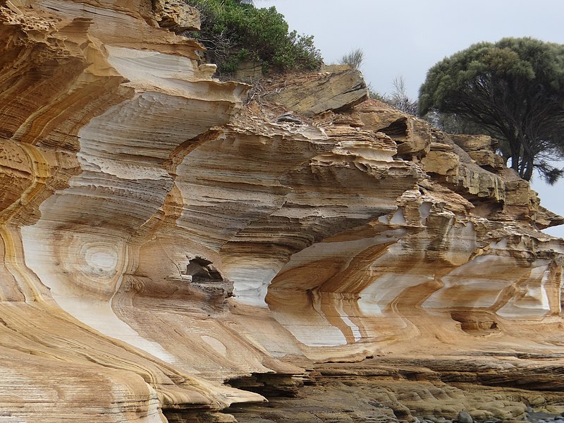 File:Triassic Sandstone on Maria Island of Tasmania in Australia.jpg
