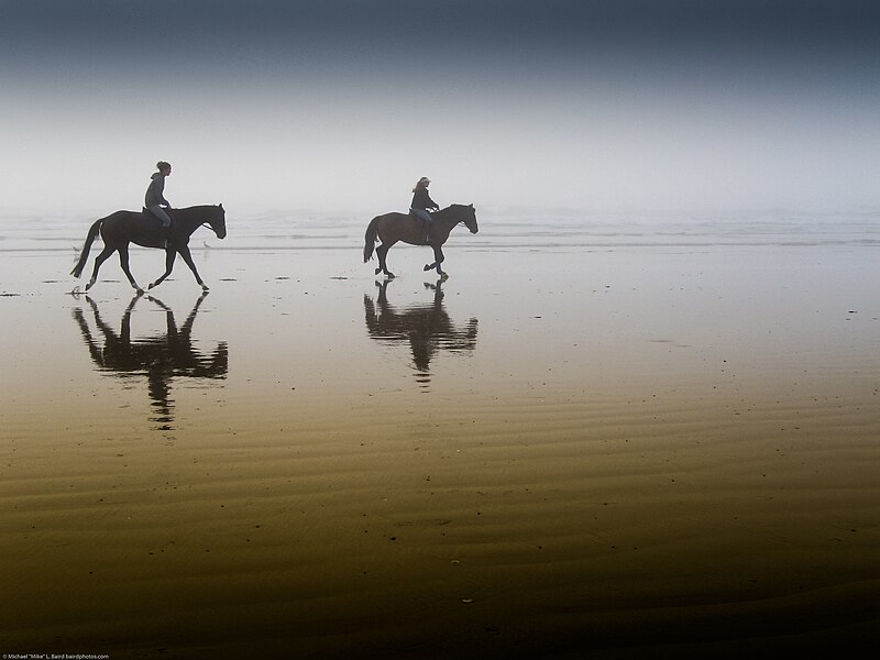 File:Two equestrian riders, girls on horseback, in low tide reflections on serene Morro Strand State Beach.jpg