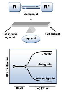 Adrenergic antagonist drug that binds to but do not activate adrenergic receptors