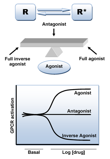 Adrenergic antagonist