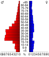 Bevolkingspiramide Brown County