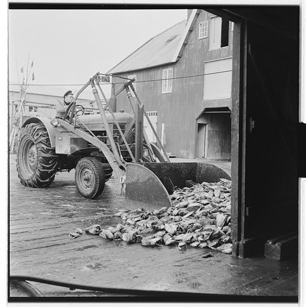 File:Vårfiske på Vardø - L0049 770Fo30141609280112.jpg