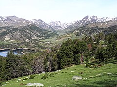 La vallée de la Têt (ou la Grava) au-dessus du lac des Bouillouses[7].