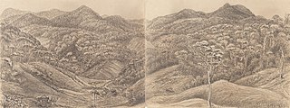 Valley - from the Road to the Presidencia - Petropolis Febr. 6th 1855