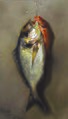 Vassileios Chatzis Fish, 1898.jpg