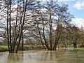 Flood at the south of the Bazouge-de-Chemeré on February 28, 2010