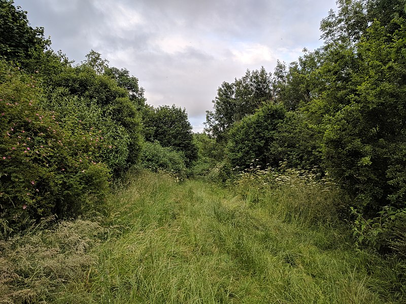 File:View from the bench (OpenBenches 7450-2).jpg