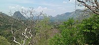 View of Senbagathoppu From Kaattalagar temple, Thiruvillipuththur.jpg