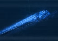 Viperfish-smal.png