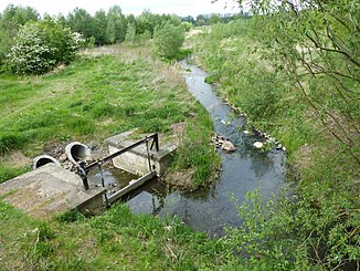 Begynnelsen av Mittelriede ved Schöppenstedter-tårnet, drenerer til venstre.  Bikaken renner rett frem i renatureringsområdet.