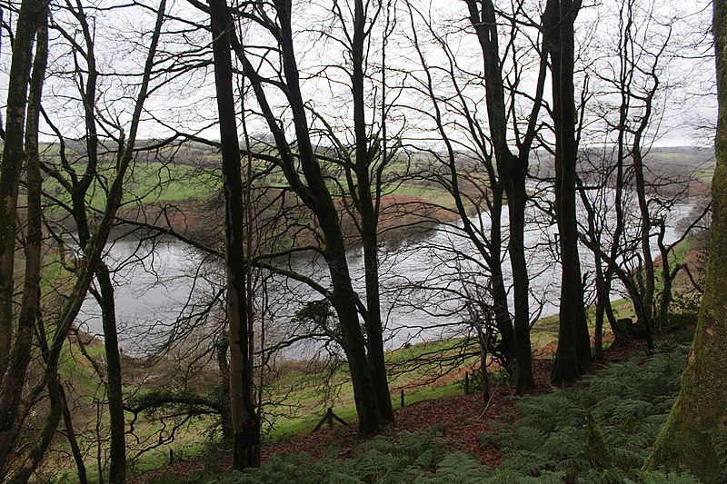 File:Waysdown Copse and Clatworthy Reservoir - geograph.org.uk - 4768058.jpg