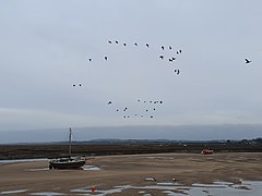 Wells-next-the-Sea (Beached Boat).jpg