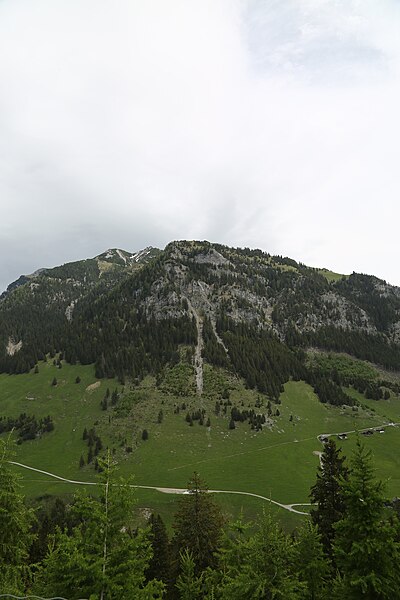 File:Wikiolo in Liechtenstein (445).jpg