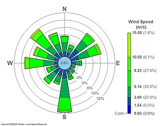 <span class="mw-page-title-main">Wind rose</span> Graphic tool used by meteorologists