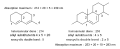 תמונה ממוזערת לגרסה מ־10:32, 25 בספטמבר 2009