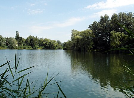 Wuelfeler und Detmarscher Teich