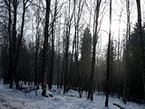 Čeština: Přírodní rezervace Zatoňská mokřina č. 5691 mezi vesmi Zátoň a Horní Vltavice, okres Prachatice. English: Nature reserve Zátoňská mokřina between the villages of Zátoň and Horní Vltavice, Prachatice District, South Bohemian Region, Czech Republic.