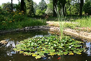 Botanischer Garten Zabrze